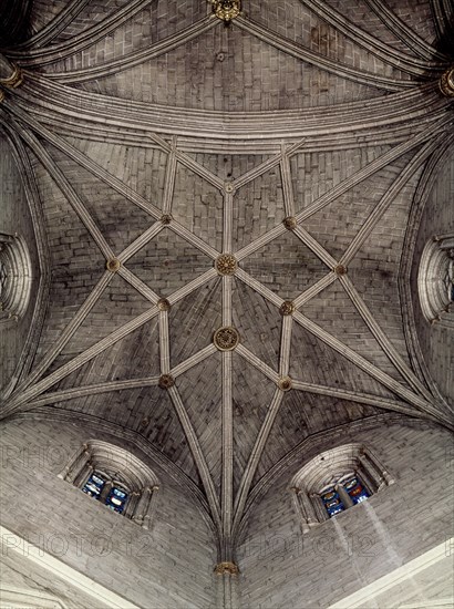 CAPILLA MAYOR-BOVEDA ESTRELLADA
PAMPLONA, CATEDRAL
NAVARRA

This image is not downloadable. Contact us for the high res.
