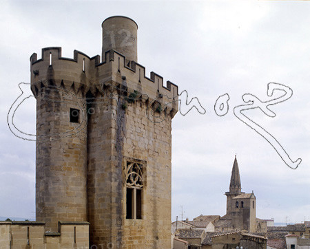 PALACIO REAL-DET TORREON ALMENADO
OLITE, CASTILLO-PALACIO REAL
NAVARRA

This image is not downloadable. Contact us for the high res.