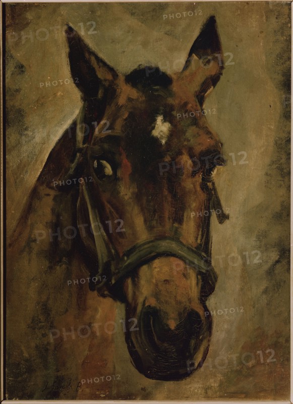 Sorolla, Tête de cheval