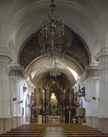 INTERIOR DE LA IGLESIA HACIA LA CABECERA
CEUTA, IGLESIA DE NUESTRA SEÑORA AFRICA
CEUTA

This image is not downloadable. Contact us for the high res.