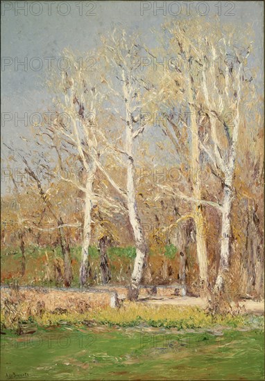 BERUETE Y MORET A 1845/1912
PAISAJE DE INVIERNO-PLANTIO DE INFANTES-NUM CASON 4057
MADRID, CASON RETIRO
MADRID

This image is not downloadable. Contact us for the high res.