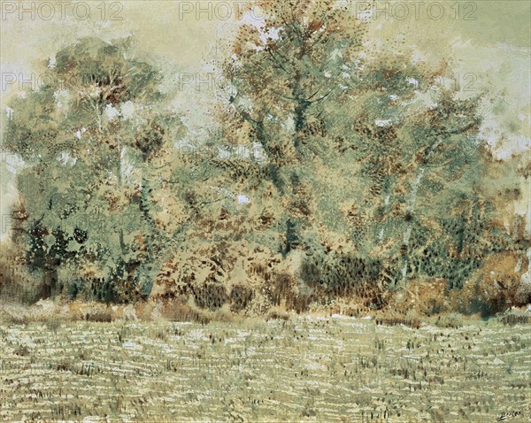 BEULAS JOSE
EL SOTO
MADRID, BANCO DE ESPAÑA-COLECCIÓN ARTE
MADRID