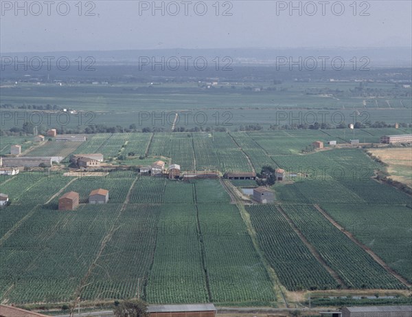 VISTA PANORAMICA DE LA CUENCA-PLANTACIONES DE TABACO-
PROVINCIA, CUENCA DEL TIETAR
CACERES

This image is not downloadable. Contact us for the high res.