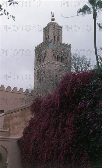 DETALLE SUPERIOR DEL MINARETE DE LA MEZQUITA KUTUBIA-ARTE ALMOHADE S XII
MARRAKECH, MEZQUITA DE KUTUBIYYA
MARRUECOS

This image is not downloadable. Contact us for the high res.