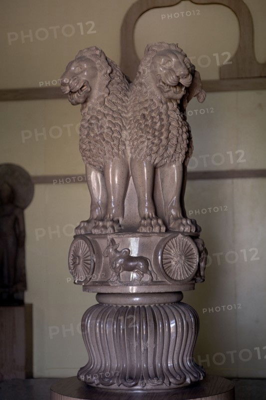 Zoomorphic capital