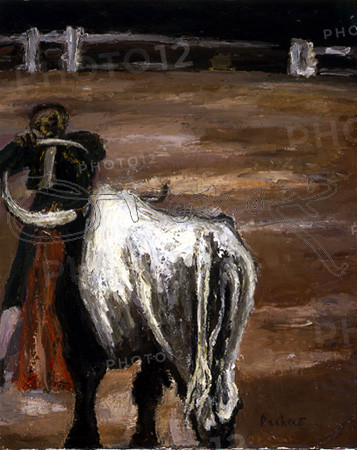 PACHECO JOAQUIN
(TORERO DA ESTOQUE A TORO)
MADRID, COLECCION SRES PACHECO
MADRID

This image is not downloadable. Contact us for the high res.
