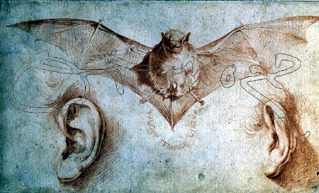 RIBERA JOSE DE 1591/1652
SANGUINA-ESTUDIO DE MURCIELAGO Y OREJA-(FUND.ROGER)-
NUEVA YORK, MUSEO METROPOLITANO
EEUU

This image is not downloadable. Contact us for the high res.