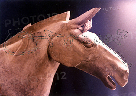 CABEZA DE CABALLO EN BARRO COCIDO-S III A J.C.
XIAN, MAUSOLEO QIN SHI HUANG
CHINA