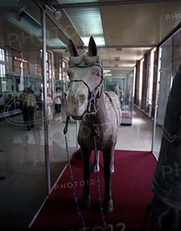 MUSEO-CABALLO DE BARRO COCIDO Y CORREAJE DE BRONCE-S III A J.C.
XIAN, MAUSOLEO QIN SHI HUANG
CHINA

This image is not downloadable. Contact us for the high res.