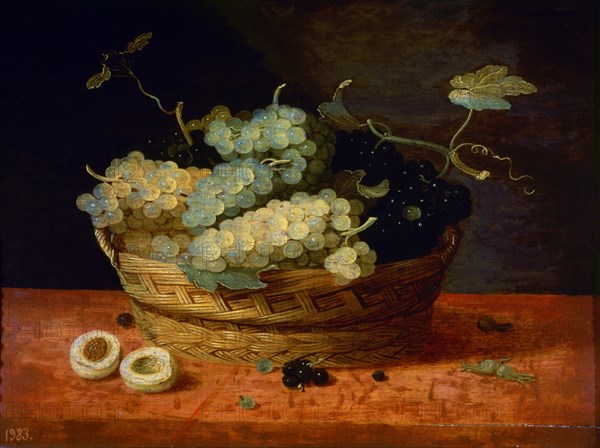 Van Son, Panier de raisins