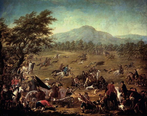 Celebrano, Hunting with hounds
