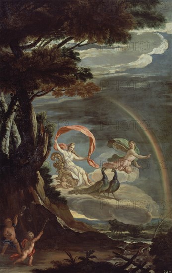 Palomino y Velasco, Rainbow