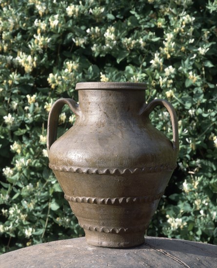 "ORZA" VASIJA PARA LA MANTECA - S XX ARTE POPULAR
MUELAS DEL PAN, COLECCION PARTICULAR
ZAMORA

This image is not downloadable. Contact us for the high res.