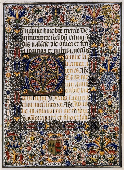 MARCH BARTOLOME
LIBRO DE HORAS-MS 103-PAGINA ILUMINADA CON LETRA CAPITULAR
VALENCIA, PALACIO MARQUES DOS AGUAS
VALENCIA