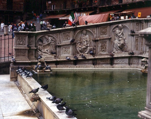 FUENTE GAIA CON PALOMAS ALREDEROR EN EL CENTRO DE LA PLAZA DEL CAMPO
SIENA, EXTERIOR
ITALIA

This image is not downloadable. Contact us for the high res.