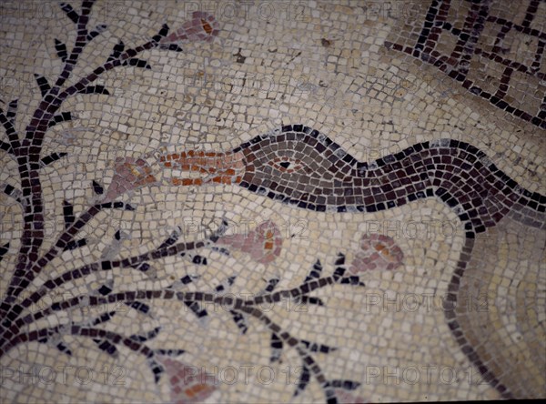 INTERIOR-DET MOSAICO BIZANTINO-PATO
TABGHA, IGLESIA DE LOS PANES Y LOS PECES
ISRAEL

This image is not downloadable. Contact us for the high res.
