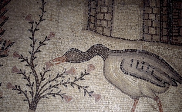 INTERIOR-DET MOSAICO BIZANTINO-PATO
TABGHA, IGLESIA DE LOS PANES Y LOS PECES
ISRAEL

This image is not downloadable. Contact us for the high res.