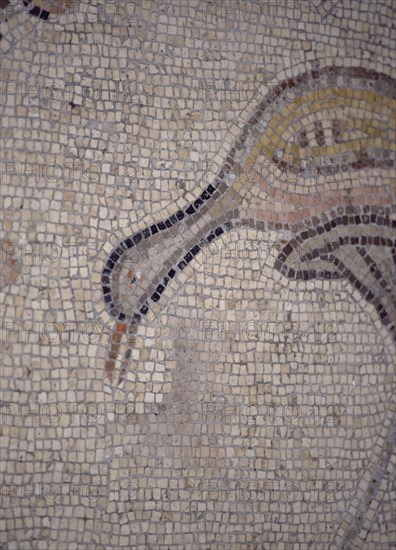 INTERIOR-DET MOSAICO BIZANTINO-PATO
TABGHA, IGLESIA DE LOS PANES Y LOS PECES
ISRAEL

This image is not downloadable. Contact us for the high res.