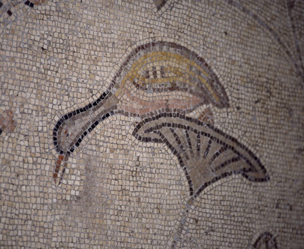 INTERIOR-DET MOSAICO BIZANTINO-PATO SOBRE UNA PLANTA
TABGHA, IGLESIA DE LOS PANES Y LOS PECES
ISRAEL

This image is not downloadable. Contact us for the high res.