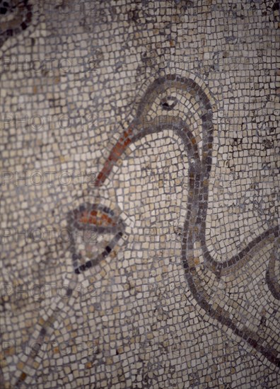 INTERIOR-DET MOSAICO BIZANTINO-CABEZA DE PATO COMIENDO
TABGHA, IGLESIA DE LOS PANES Y LOS PECES
ISRAEL

This image is not downloadable. Contact us for the high res.