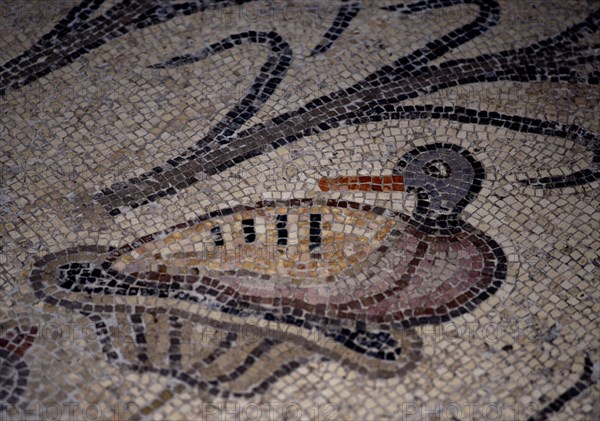 INTERIOR-DET MOSAICO BIZANTINO-PATO SOBRE UNA PLANTA
TABGHA, IGLESIA DE LOS PANES Y LOS PECES
ISRAEL

This image is not downloadable. Contact us for the high res.