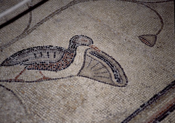 INTERIOR-DET MOSAICO BIZANTINO-PATO
TABGHA, IGLESIA DE LOS PANES Y LOS PECES
ISRAEL

This image is not downloadable. Contact us for the high res.