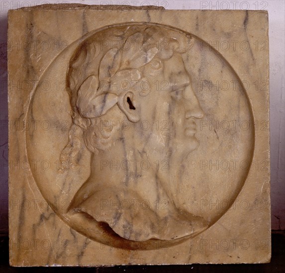 CAMILANI FRANCISCO
INTERIOR-RELIEVE EN MARMOL DE ROSTRO DE PERSONAJE ROMANO
ABADIA, PALACIO DE SOTOFERMOSO
CACERES

This image is not downloadable. Contact us for the high res.