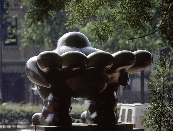 BOTERO FERNANDO 1932
PAJARO 1992 - VISTA TRASERA
MADRID, EXPOSICION BOTERO
MADRID

This image is not downloadable. Contact us for the high res.