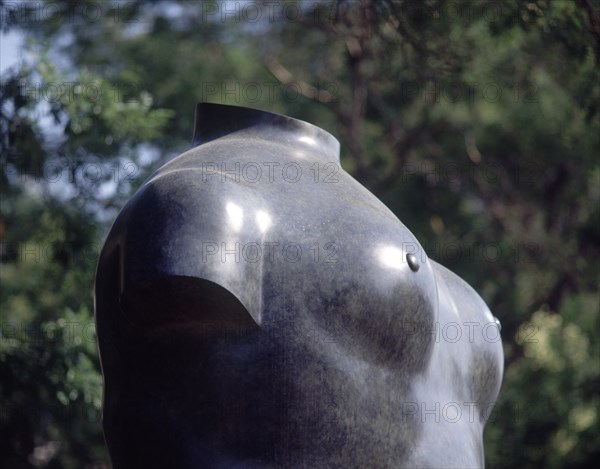 BOTERO FERNANDO 1932
DETALLE - TORSO DE MUJER
MADRID, EXPOSICION BOTERO
MADRID

This image is not downloadable. Contact us for the high res.
