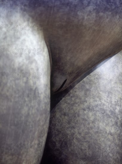BOTERO FERNANDO 1932
DETALLE DEL PUBIS - PAREJA - HOMBRE Y MUJER ENFRENTADOS
MADRID, EXPOSICION BOTERO
MADRID

This image is not downloadable. Contact us for the high res.