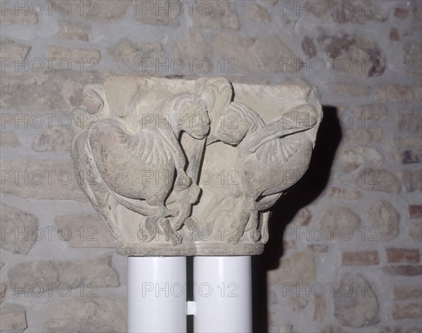 MUSEO - CAPITEL ROMANICO DECORADO CON ANIMALES FANTASTICOS- S XII
BOTAYA, MONANSTERIO DE SAN JUAN DE LA PEÑA
HUESCA

This image is not downloadable. Contact us for the high res.