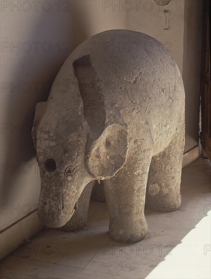 ELEFANTE DE GRANITO S X- DISTRIBUIDOR DE AGUA POR UNA TUBERIA HORADADA EN SU INTERIOR
CORDOBA, MUSEO BELLAS ARTES
CORDOBA

This image is not downloadable. Contact us for the high res.