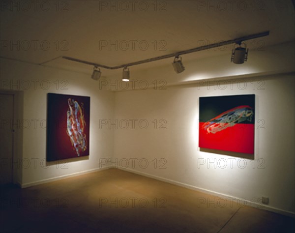 BROTO JOSE MANUEL 1949/
INTERIOR DE LA SALA DE EXPOSICIONES - 2001
MADRID, GALERIA SOLEDAD LORENZO
MADRID

This image is not downloadable. Contact us for the high res.