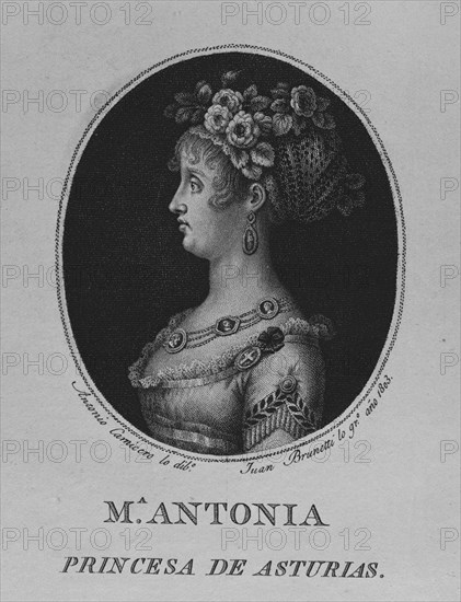 CARNICERO ANTONIO 1748/1814
RETRATO DE MARIA ANTONIA PRINCESA DE ASTURIAS - GRABADO POR JUAN BRUNETTI EN 1803
MADRID, MUSEO MUNICIPAL
MADRID

This image is not downloadable. Contact us for the high res.