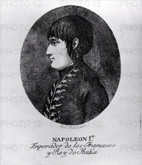 NAPOLEON I EMPERADOR DE LOS FRANCESES - 1769/1821
MADRID, MUSEO MUNICIPAL
MADRID

This image is not downloadable. Contact us for the high res.