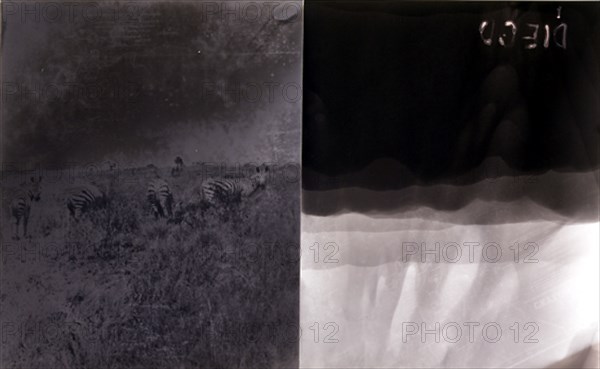 VAZQUEZ XESUS 1946
LA FRONTERA DEL EDEN-1989/93-Fotografia en b/n y rayograma-50,5x81 cm
MADRID, GALERIA TRAMA
MADRID