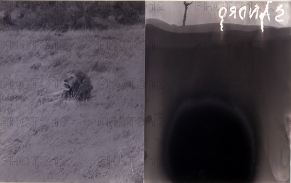VAZQUEZ XESUS 1946
LA FRONTERA DEL EDEN-1989/93-Fotografia en b/n y rayograma-50,5x81 cm
MADRID, GALERIA TRAMA
MADRID