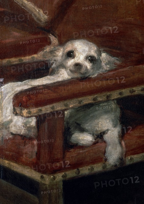 Velasquez, L'Infant Philippe Prosper (détail du chien)