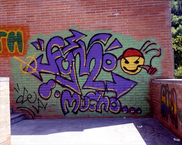 GRAFFITI - 2002
TOLOSA, EXTERIOR
GUIPUZCOA

This image is not downloadable. Contact us for the high res.
