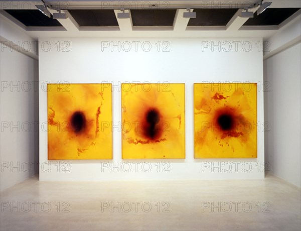 SICILIA JOSE MARIA 1954/
INTERIOR DE LA SALA DE EXPOSICIONES "LA LUZ QUE SE APAGA" - 2002
MADRID, GALERIA SOLEDAD LORENZO
MADRID