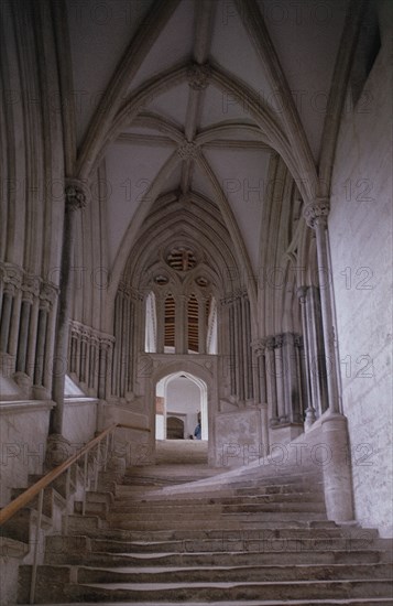 INTERIOR-ESCALERA GOTICA DEL CRUCERO NORTE A LA SALA DEL CABILDO-1315
WELLS, CATEDRAL
INGLATERRA

This image is not downloadable. Contact us for the high res.
