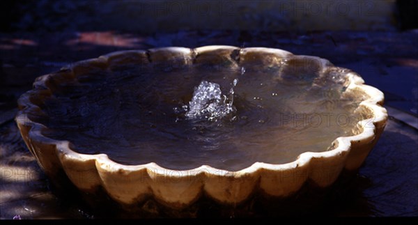 ACEQUIA DEL GENERALIFE-FUENTE-TAZA CON FORMA FLORAL GALLONADA EN MARMOL
GRANADA, ALHAMBRA-GENERALIFE
GRANADA