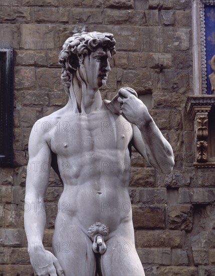 MIGUEL ANGEL (COPIA)
EL DAVID - COPIA DEL ORIGINAL SITUADO EN LA PLAZA DE LA SEÑORIA FRENTE AL PALACIO VECCHIO
FLORENCIA, EXTERIOR
ITALIA

This image is not downloadable. Contact us for the high res.