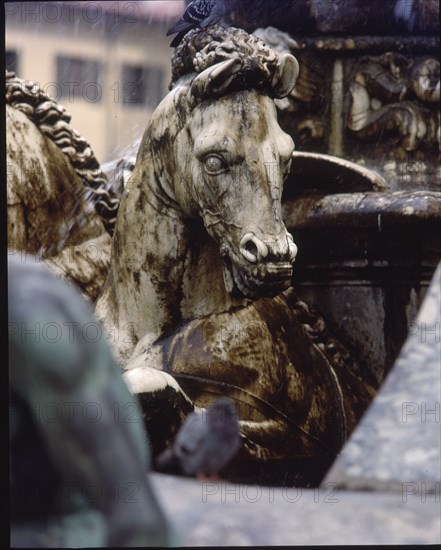 AMMANNATI BARTOLOMEO 1511/92
CABALLO MARINO - DETALLE DE LA FUENTE DE NEPTUNO - 1575 - MANIERISMO ITALIANO
FLORENCIA, EXTERIOR
ITALIA