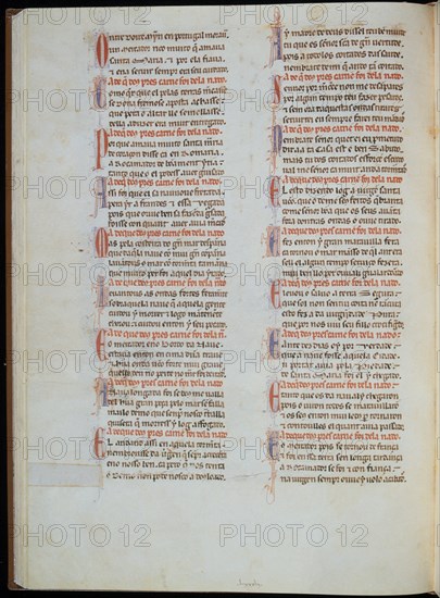 ALFONSO X EL SABIO 1221/84
MS B.R.20- CANTIGA STA MARIA Nº297-F70V-TEXTO-ESTROFA EN VERSO GALAICO PORTUGUES- S XIII
FLORENCIA, BIBLIOTECA NACIONAL
ITALIA

This image is not downloadable. Contact us for the high res.