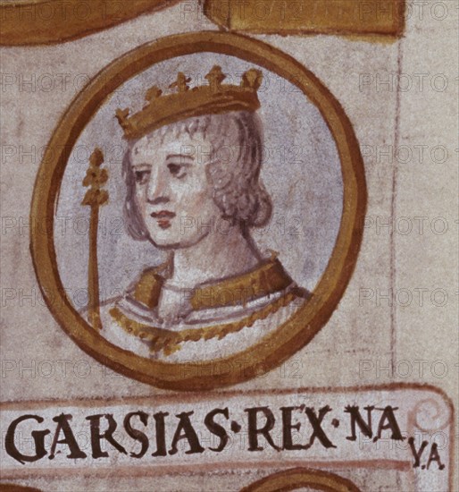 CARTAGENA ALFONSO DE 1385-1456
D- GARCIA REY DE NAVARRA-GENEALOGIA DE LOS REYES DE ESPAÑA-CODICE COPIADO EN EL S XVI POR DIONISIO
MADRID, BIBLIOTECA NACIONAL
MADRID
