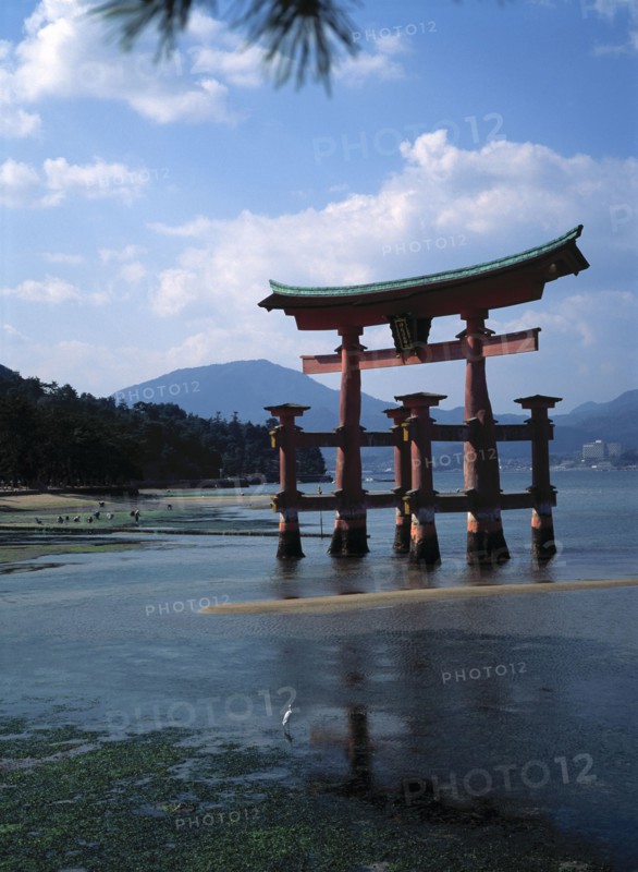 Le Grand Torii, sur l'île Miyajima abritant le sanctuaire Itsukushima, au Japon