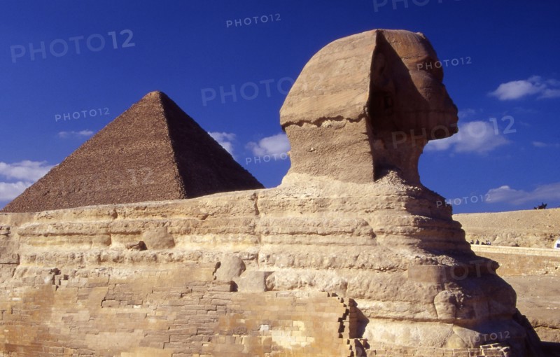 Le Sphinx sur le plateau de Gizeh, en Egypte, vue sur la pyramide de Khéops
