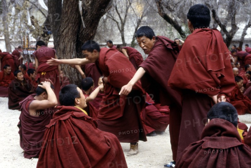 Débat animé au monastère de Sera, au Tibet, séance de l'après-midi