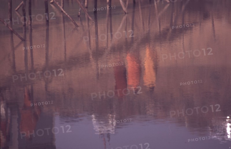 Reflets de trois moines dans l'eau, au Cambodge